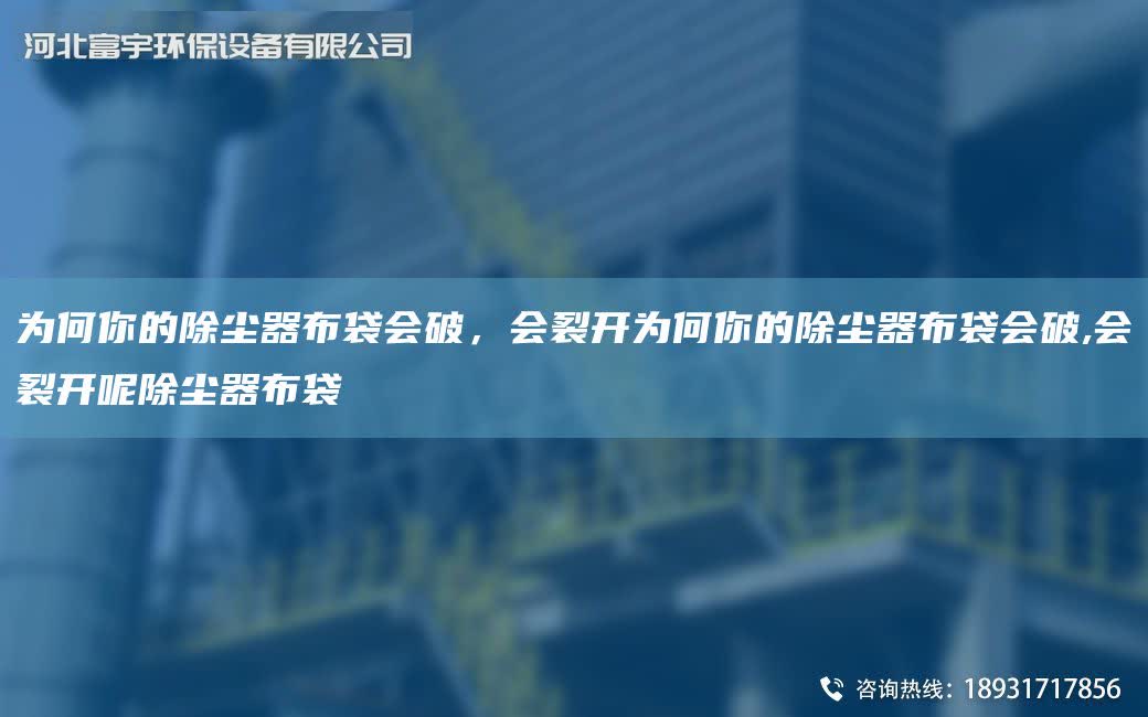 為何你的除塵器布袋會破，會裂開為何你的除塵器布袋會破,會裂開呢除塵器布袋