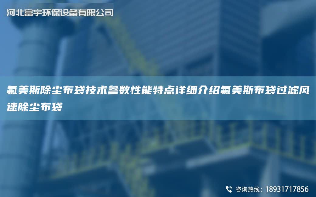 氟美斯除塵布袋技術(shù)參數(shù)性能特點(diǎn)詳細(xì)介紹氟美斯布袋過濾風(fēng)速除塵布袋