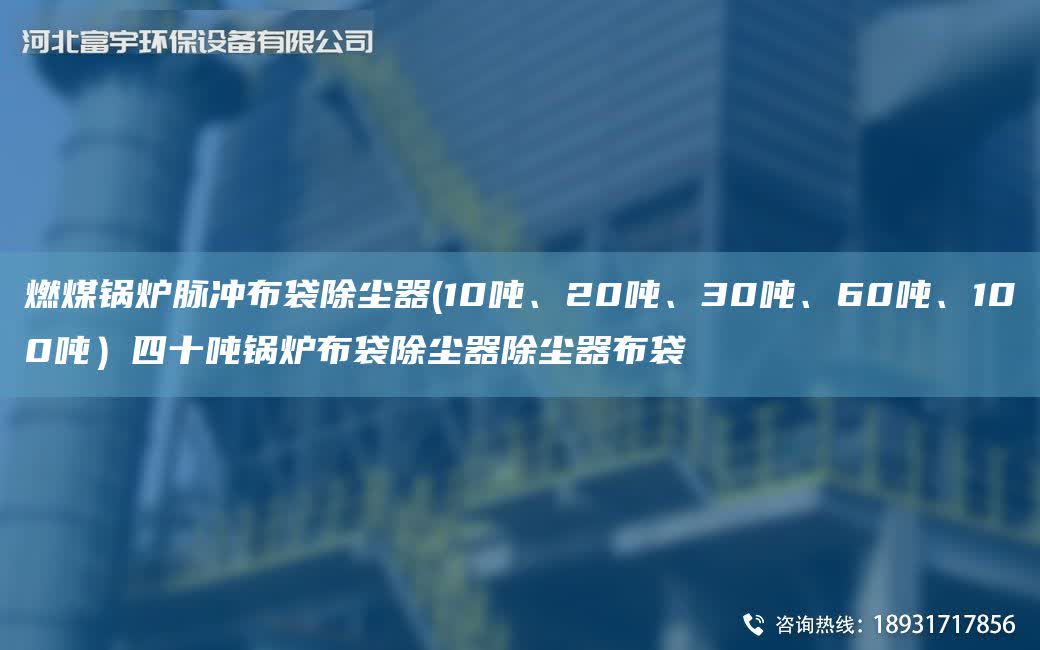 燃煤鍋爐脈沖布袋除塵器(10噸、20噸、30噸、60噸、100噸）四十噸鍋爐布袋除塵器除塵器布袋