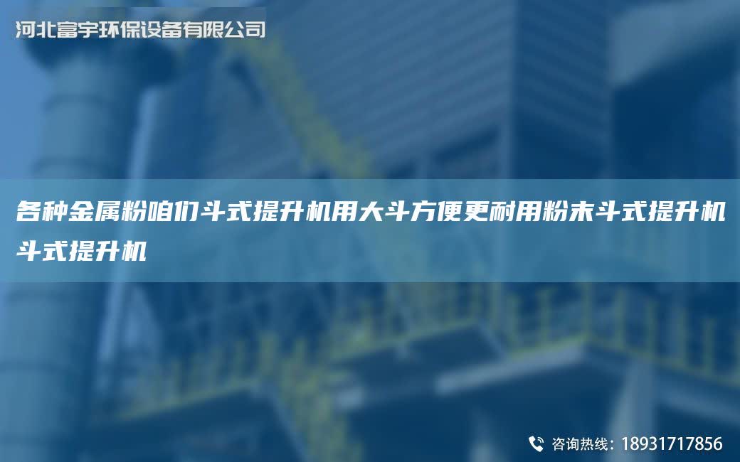 各種金屬粉咱們斗式提升機用大斗方便更耐用粉末斗式提升機斗式提升機