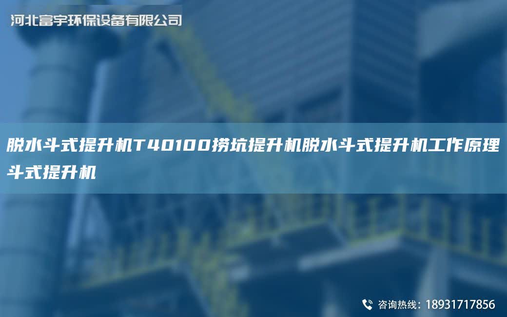 脫水斗式提升機T40100撈坑提升機脫水斗式提升機工作原理斗式提升機