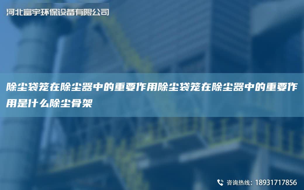 除塵袋籠在除塵器中的重要作用除塵袋籠在除塵器中的重要作用是什么除塵骨架