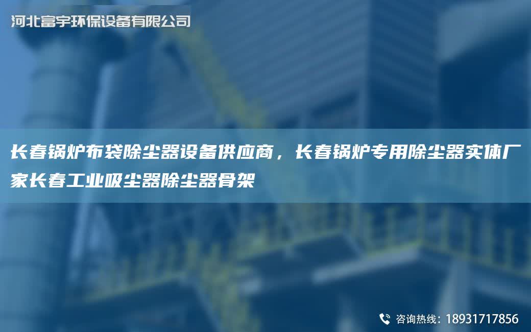 長春鍋爐布袋除塵器設備供應商，長春鍋爐專用除塵器實體廠家長春工業吸塵器除塵器骨架