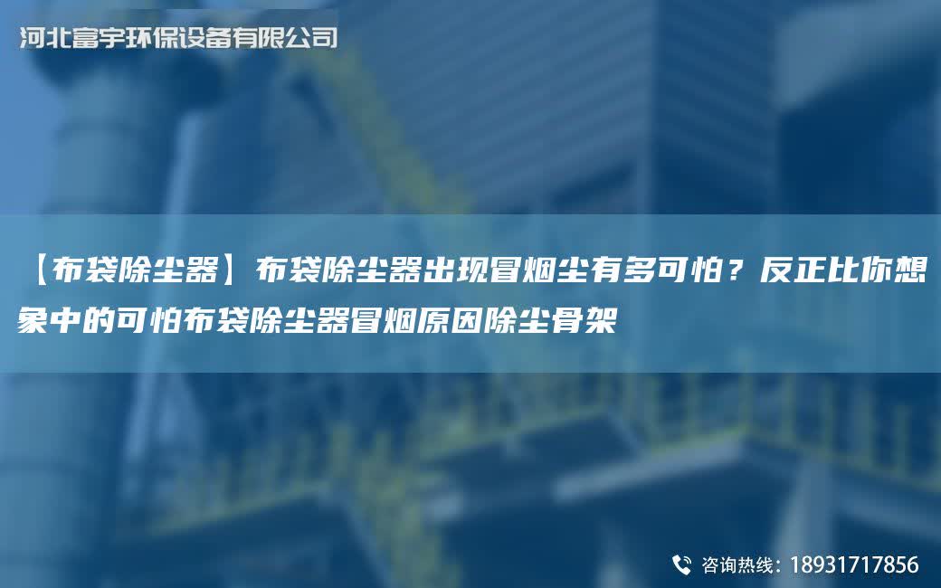 【布袋除塵器】布袋除塵器出現(xiàn)冒煙塵有多可怕？反正比你想象中的可怕布袋除塵器冒煙原因除塵骨架
