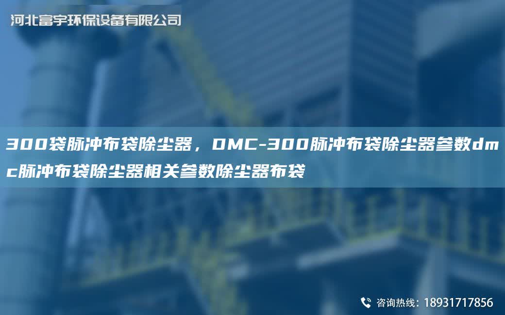 300袋脈沖布袋除塵器，DMC-300脈沖布袋除塵器參數(shù)dmc脈沖布袋除塵器相關(guān)參數(shù)除塵器布袋