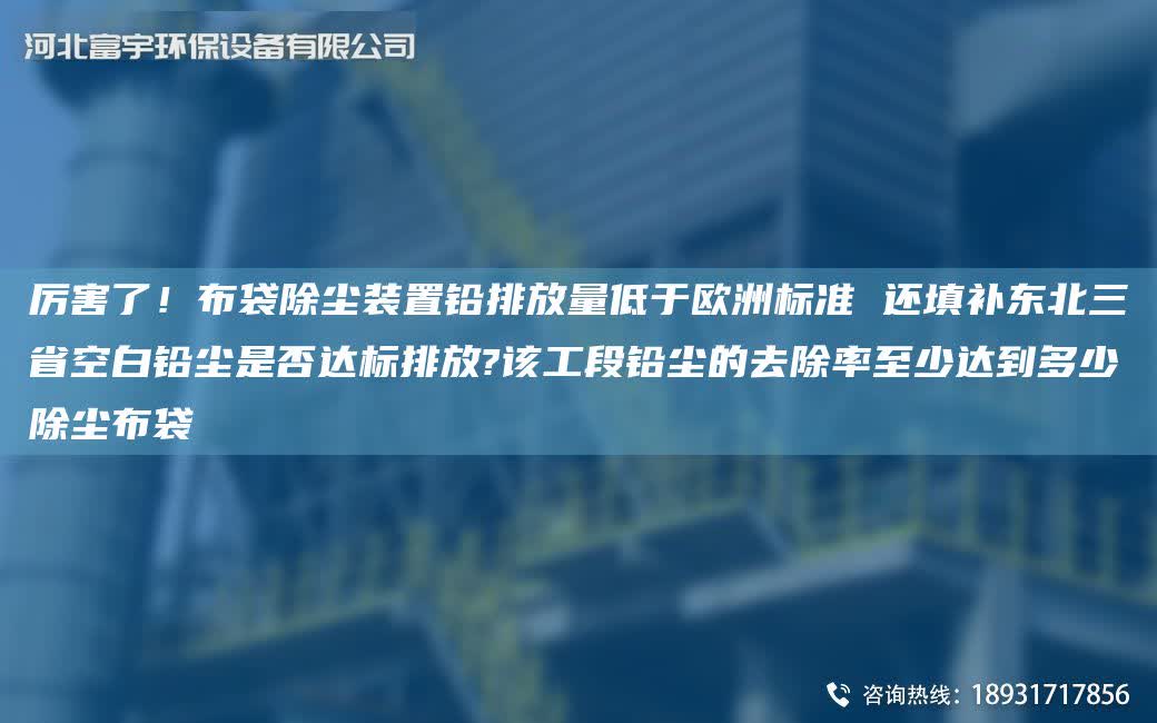 厲害了！布袋除塵裝置鉛排放量低于歐洲標準 還填補東北三省KB鉛塵是否達標排放?該工段鉛塵的去除率至少達到多少除塵布袋