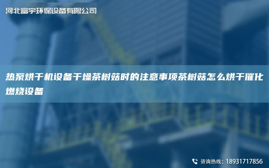 熱泵烘干機設備干燥茶樹菇時的注意事項茶樹菇怎么烘干催化燃燒設備