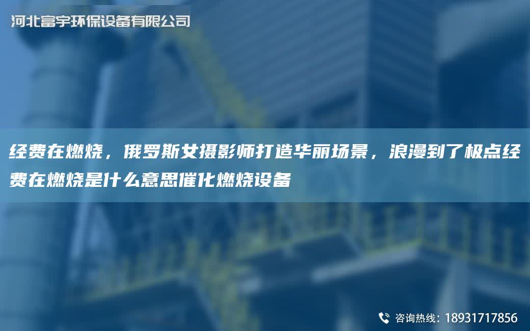 經費在燃燒，俄羅斯女攝影師打造華麗場景，浪漫到了極點經費在燃燒是什么意思催化燃燒設備
