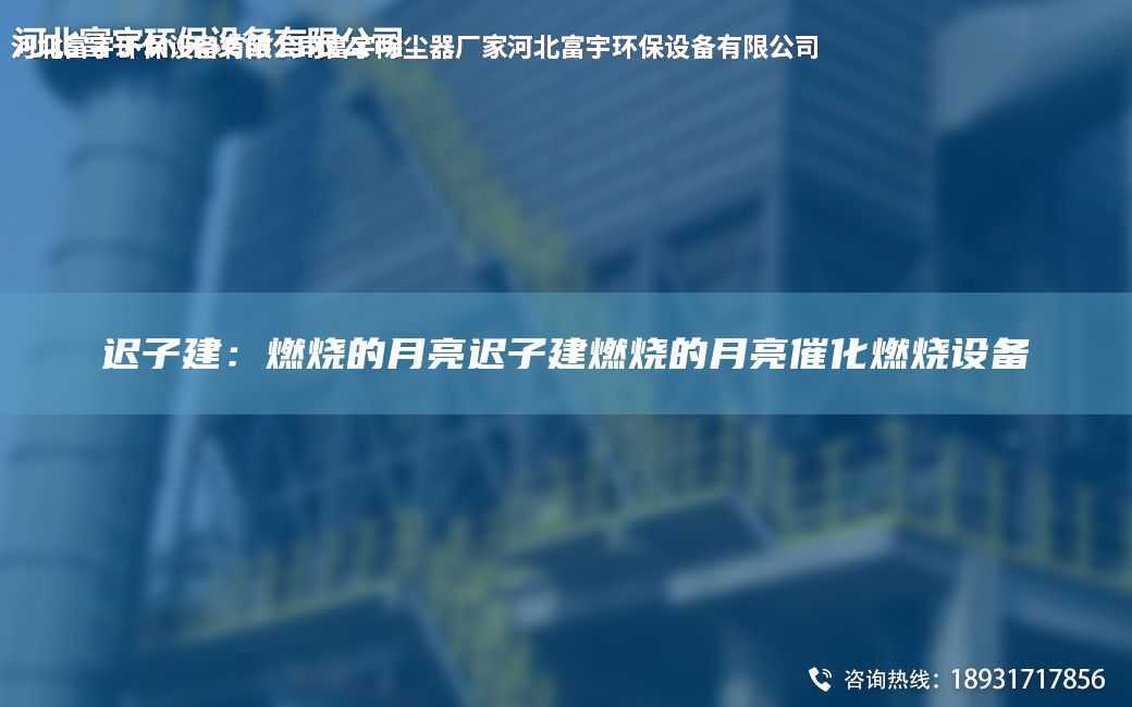 遲子建：燃燒的月亮遲子建燃燒的月亮催化燃燒設備