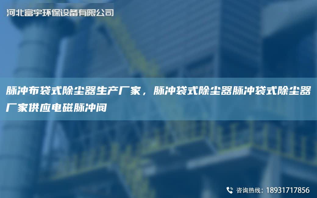 脈沖布袋式除塵器生產廠家，脈沖袋式除塵器脈沖袋式除塵器廠家供應電磁脈沖閥