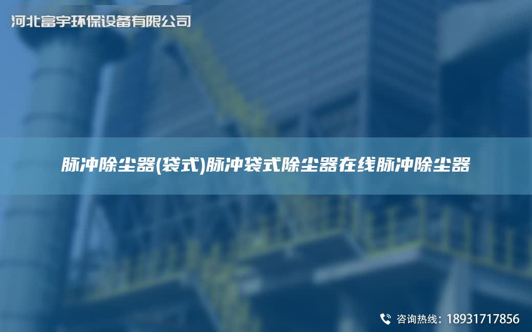 脈沖除塵器(袋式)脈沖袋式除塵器在線脈沖除塵器
