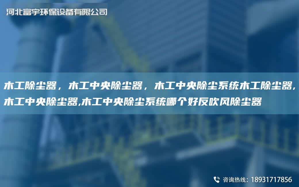 木工除塵器，木工中央除塵器，木工中央除塵系統(tǒng)木工除塵器,木工中央除塵器,木工中央除塵系統(tǒng)哪個好反吹風除塵器