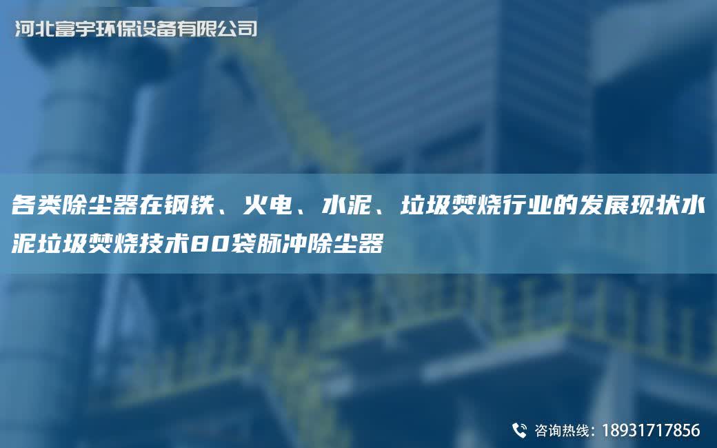 各類除塵器在鋼鐵、火電、水泥、垃圾焚燒行業的發展現狀水泥垃圾焚燒技術80袋脈沖除塵器