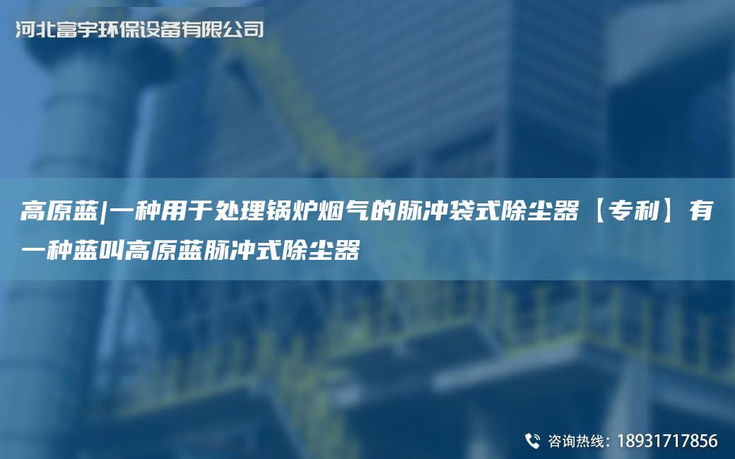 高原藍|一種用于處理鍋爐煙氣的脈沖袋式除塵器【ZL】有一種藍叫高原藍脈沖式除塵器