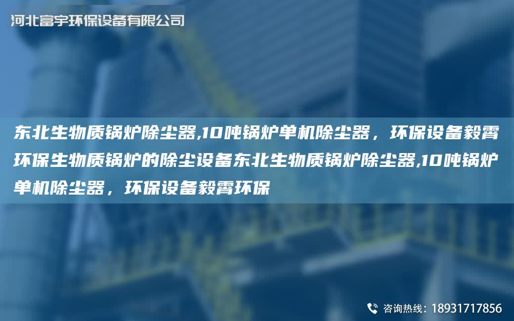 東北生物質鍋爐除塵器,10噸鍋爐單機除塵器，環保設備毅霄環保生物質鍋爐的除塵設備東北生物質鍋爐除塵器,10噸鍋爐單機除塵器，環保設備毅霄環保
