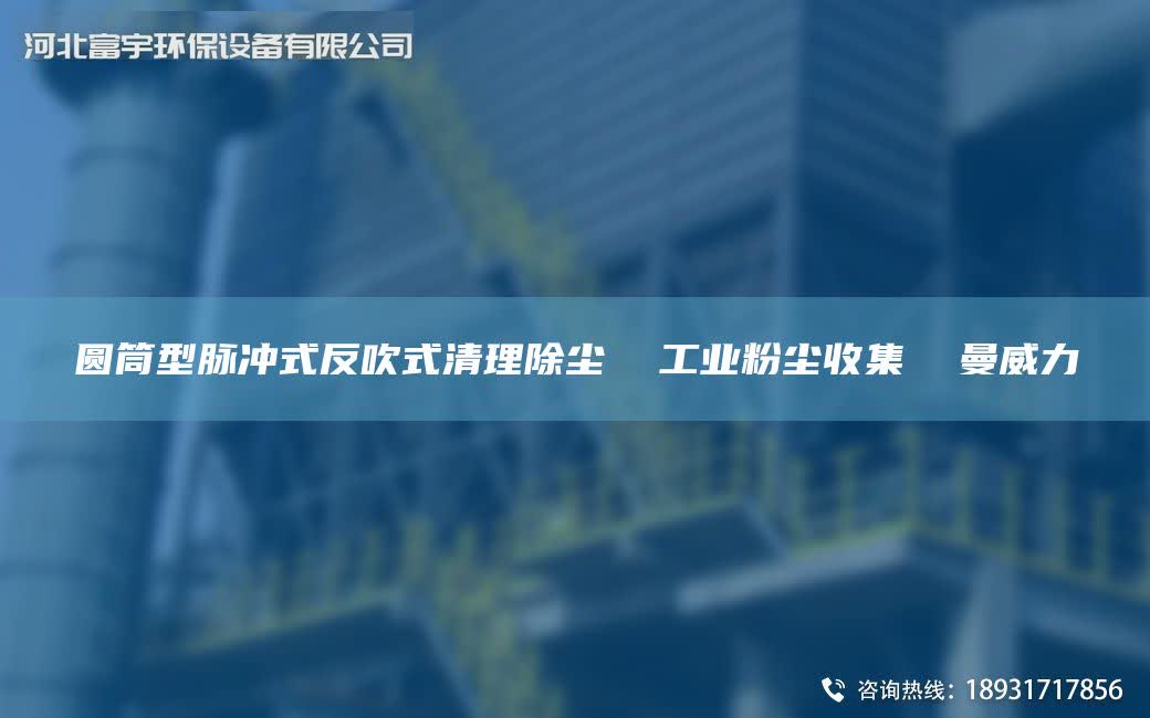 圓筒型脈沖式反吹式清理除塵  工業粉塵收集  曼威力