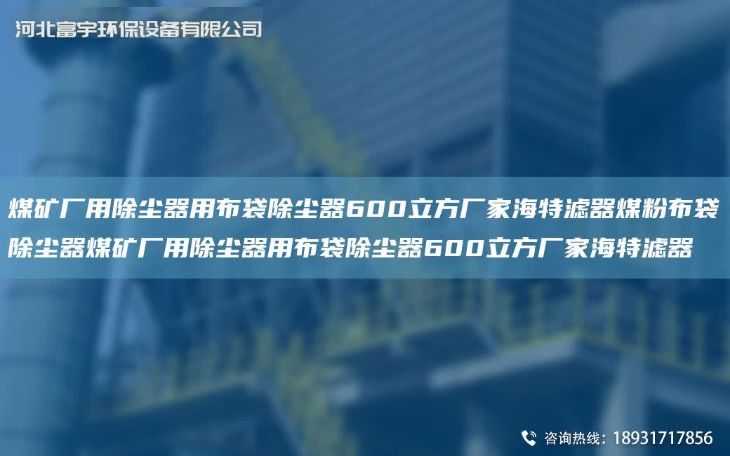 煤礦廠用除塵器用布袋除塵器600立方廠家海特濾器煤粉布袋除塵器煤礦廠用除塵器用布袋除塵器600立方廠家海特濾器