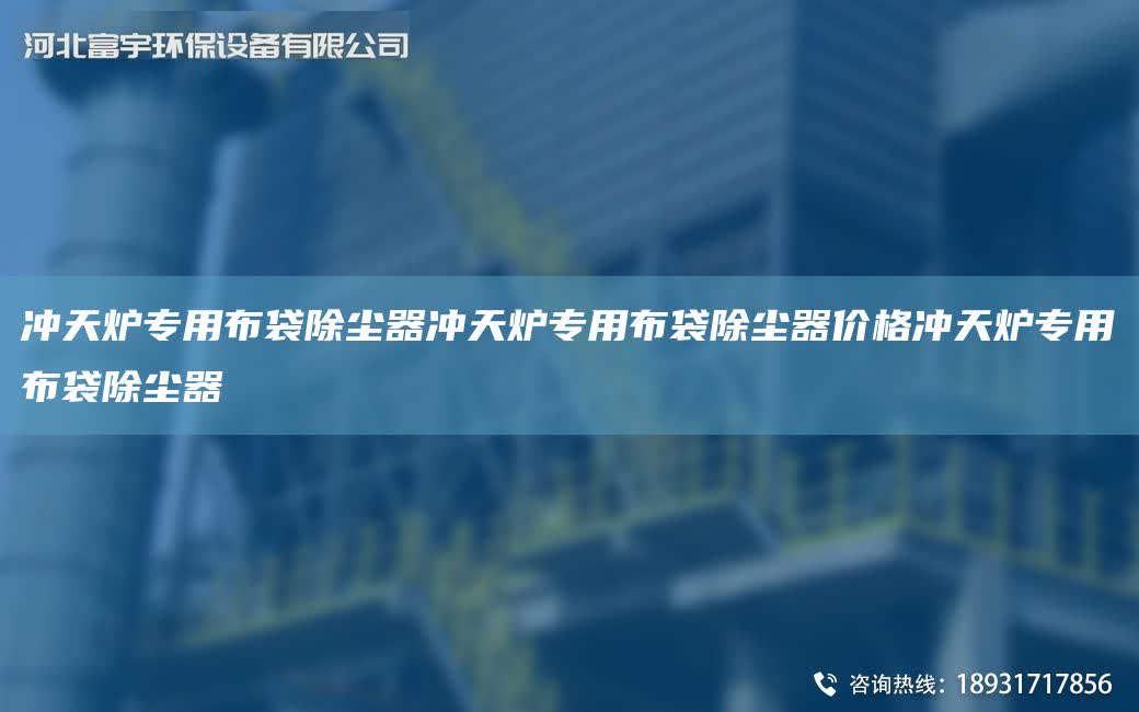 沖天爐專用布袋除塵器沖天爐專用布袋除塵器價格沖天爐專用布袋除塵器