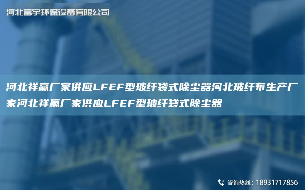 河北祥贏廠家供應(yīng)LFEF型玻纖袋式除塵器河北玻纖布生產(chǎn)廠家河北祥贏廠家供應(yīng)LFEF型玻纖袋式除塵器