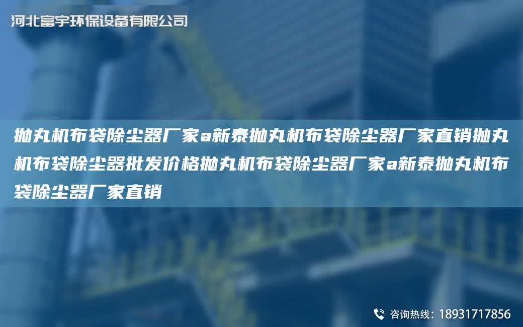 拋丸機布袋除塵器廠家a新泰拋丸機布袋除塵器廠家直銷拋丸機布袋除塵器批發價格拋丸機布袋除塵器廠家a新泰拋丸機布袋除塵器廠家直銷
