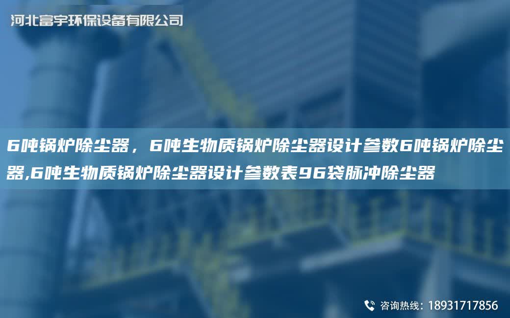 6噸鍋爐除塵器，6噸生物質鍋爐除塵器設計參數6噸鍋爐除塵器,6噸生物質鍋爐除塵器設計參數表96袋脈沖除塵器