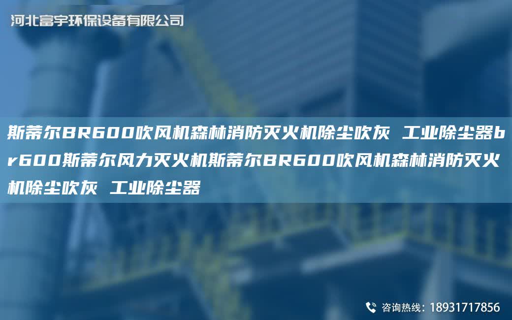 斯蒂爾BR600吹風機森林消防滅火機除塵吹灰 工業除塵器br600斯蒂爾風力滅火機斯蒂爾BR600吹風機森林消防滅火機除塵吹灰 工業除塵器