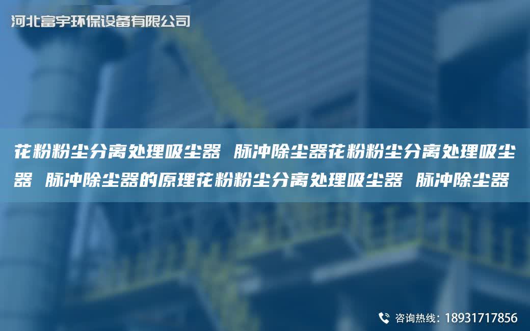花粉粉塵分離處理吸塵器 脈沖除塵器花粉粉塵分離處理吸塵器 脈沖除塵器的原理花粉粉塵分離處理吸塵器 脈沖除塵器