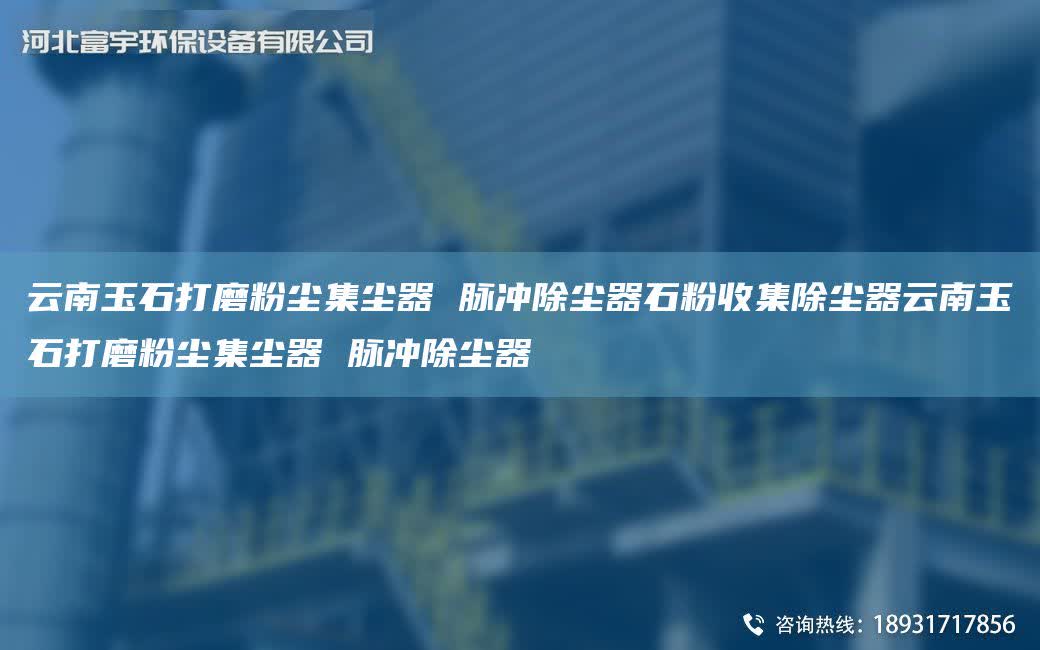 云南玉石打磨粉塵集塵器 脈沖除塵器石粉收集除塵器云南玉石打磨粉塵集塵器 脈沖除塵器
