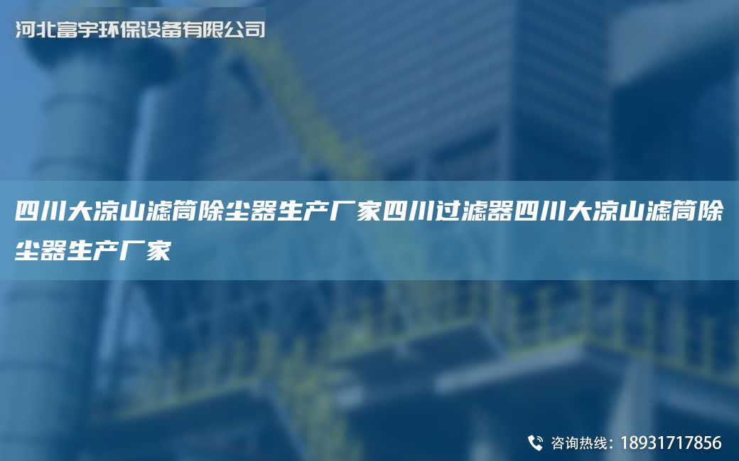 四川大涼山濾筒除塵器生產(chǎn)廠家四川過濾器四川大涼山濾筒除塵器生產(chǎn)廠家