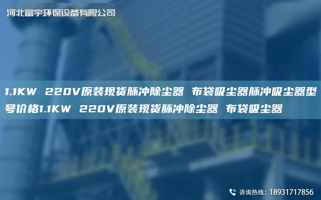 1.1KW 220V原裝現(xiàn)貨脈沖除塵器 布袋吸塵器脈沖吸塵器型號價(jià)格1.1KW 220V原裝現(xiàn)貨脈沖除塵器 布袋吸塵器