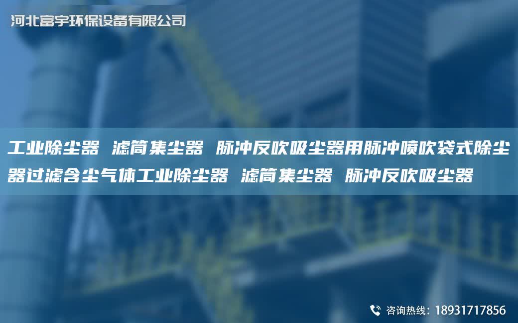 工業除塵器 濾筒集塵器 脈沖反吹吸塵器用脈沖噴吹袋式除塵器過濾含塵氣體工業除塵器 濾筒集塵器 脈沖反吹吸塵器
