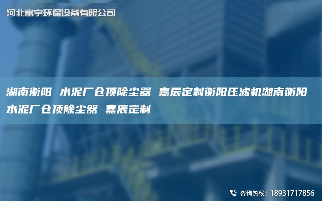 湖南衡陽 水泥廠倉頂除塵器 富宇定制衡陽壓濾機湖南衡陽 水泥廠倉頂除塵器 富宇定制