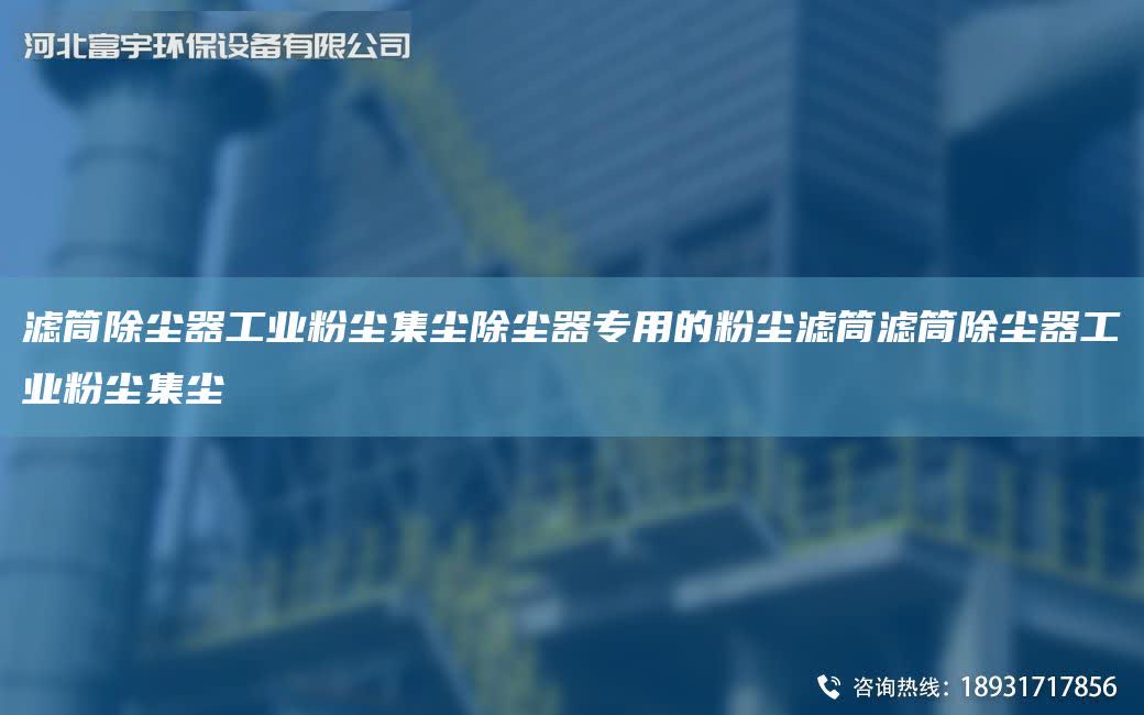 濾筒除塵器工業(yè)粉塵集塵除塵器專用的粉塵濾筒濾筒除塵器工業(yè)粉塵集塵