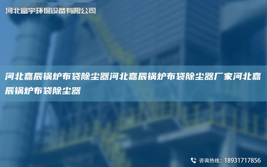 河北富宇鍋爐布袋除塵器河北富宇鍋爐布袋除塵器廠家河北富宇鍋爐布袋除塵器
