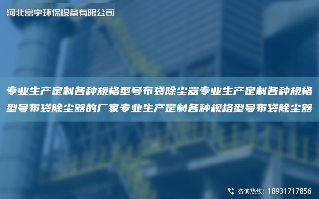 專業生產定制各種規格型號布袋除塵器專業生產定制各種規格型號布袋除塵器的廠家專業生產定制各種規格型號布袋除塵器