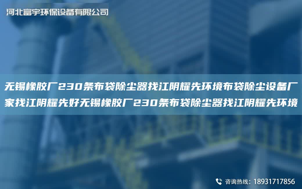 無錫橡膠廠230條布袋除塵器找江陰耀先環境布袋除塵設備廠家找江陰耀先好無錫橡膠廠230條布袋除塵器找江陰耀先環境