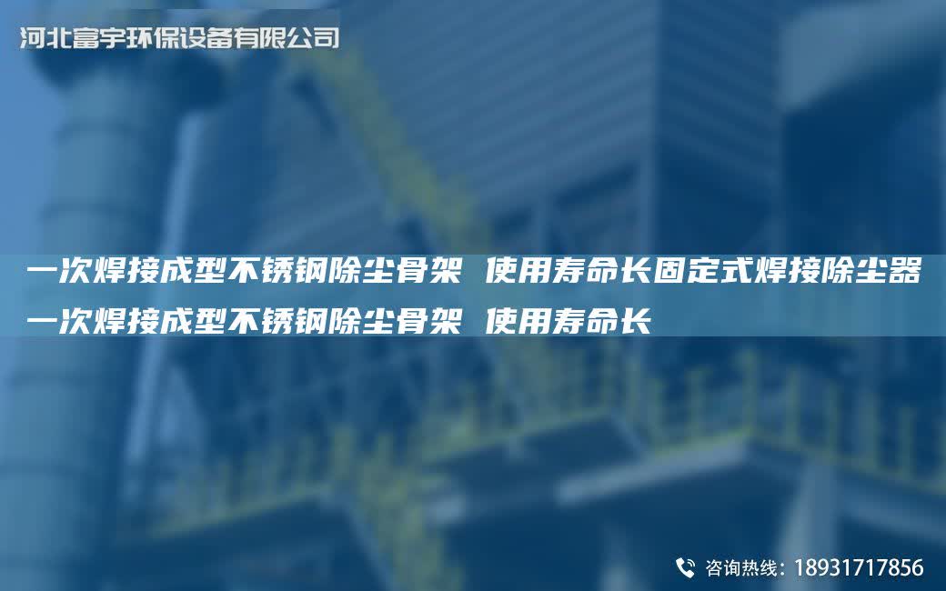 一次焊接成型不銹鋼除塵骨架 使用壽命長固定式焊接除塵器一次焊接成型不銹鋼除塵骨架 使用壽命長
