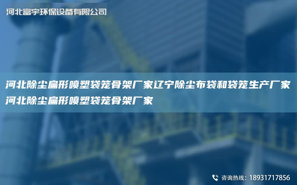 河北除塵扁形噴塑袋籠骨架廠家遼寧除塵布袋和袋籠生產廠家河北除塵扁形噴塑袋籠骨架廠家