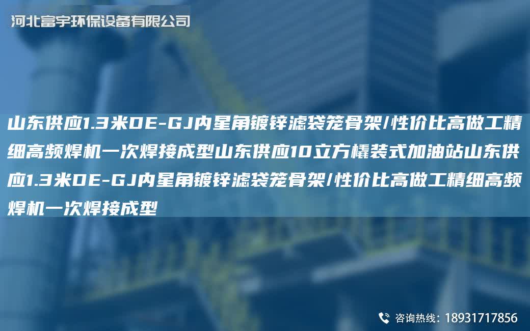 山東供應1.3米DE-GJ內星角鍍鋅濾袋籠骨架/性價比高做工精細高頻焊機一次焊接成型山東供應10立方橇裝式加油站山東供應1.3米DE-GJ內星角鍍鋅濾袋籠骨架/性價比高做工精細高頻焊機一次焊接成型