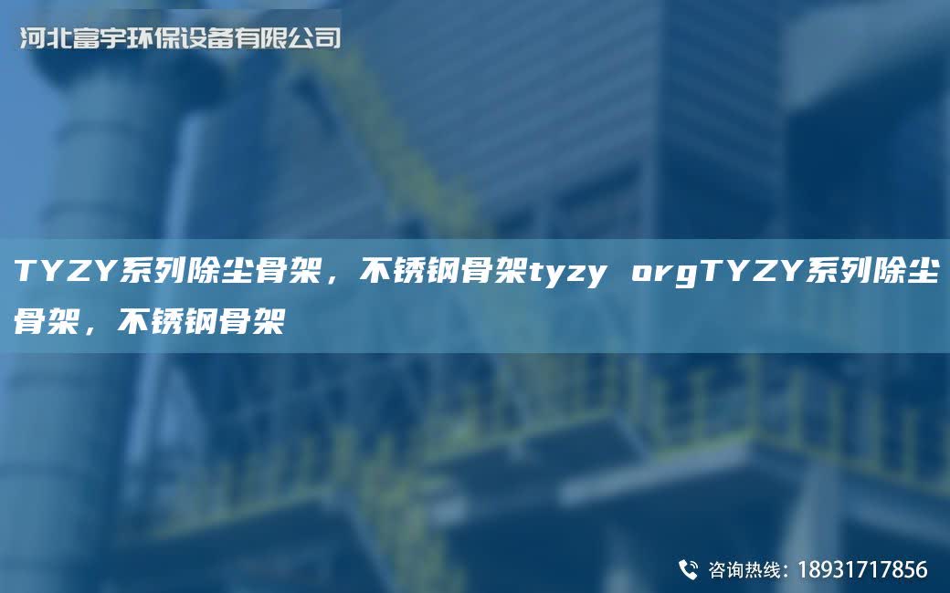 TYZY系列除塵骨架，不銹鋼骨架tyzy orgTYZY系列除塵骨架，不銹鋼骨架