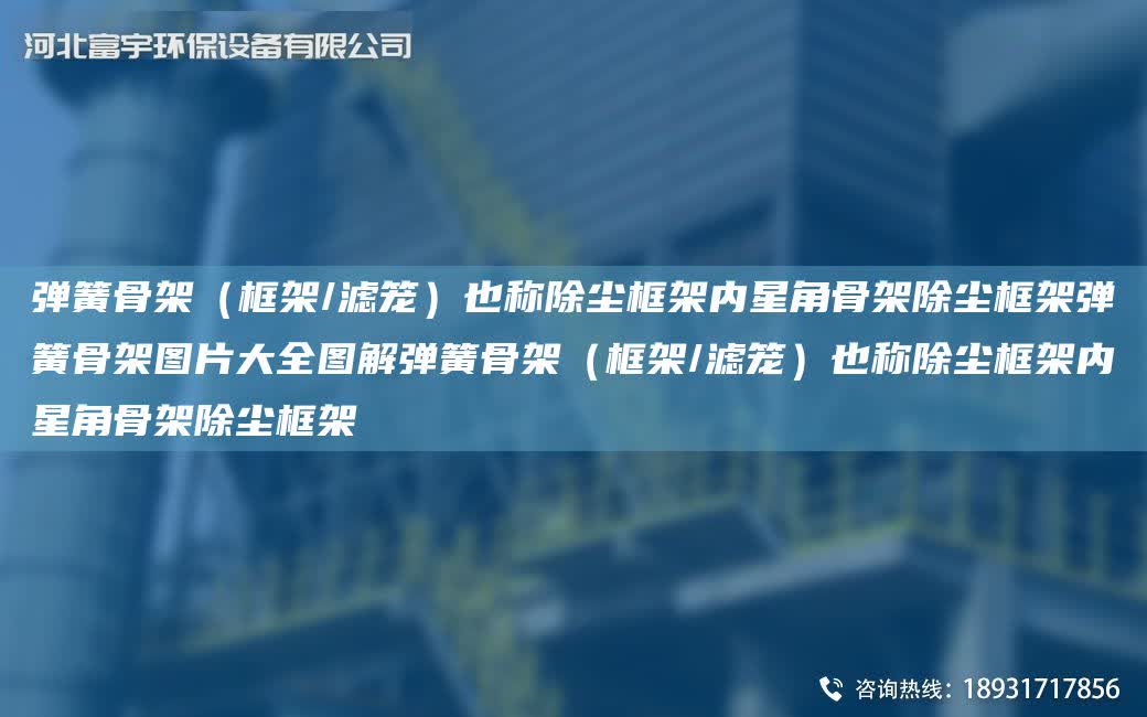 彈簧骨架（框架/濾籠）也稱除塵框架內星角骨架除塵框架彈簧骨架圖片大全圖解彈簧骨架（框架/濾籠）也稱除塵框架內星角骨架除塵框架