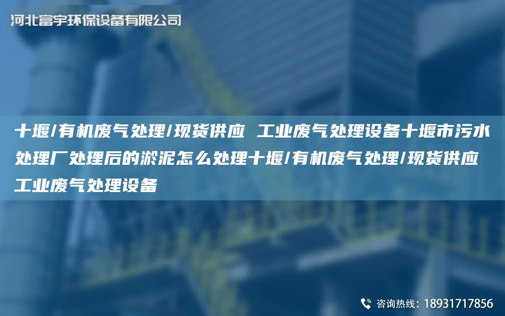 十堰/有機廢氣處理/現(xiàn)貨供應 工業(yè)廢氣處理設(shè)備十堰市污水處理廠處理后的淤泥怎么處理十堰/有機廢氣處理/現(xiàn)貨供應 工業(yè)廢氣處理設(shè)備