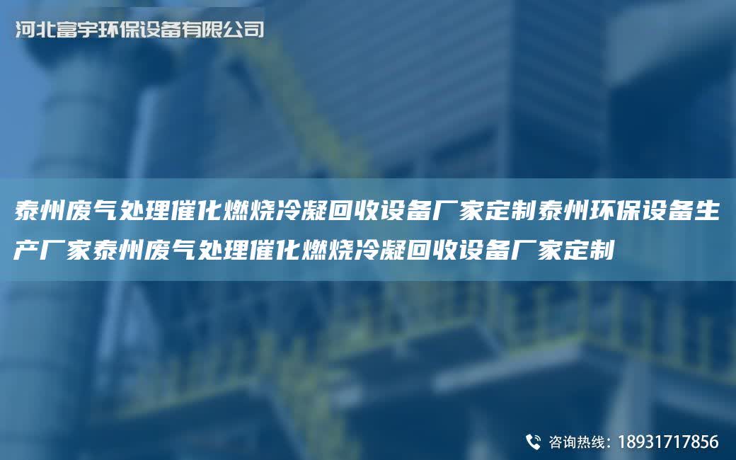 泰州廢氣處理催化燃燒冷凝回收設(shè)備廠家定制泰州環(huán)保設(shè)備生產(chǎn)廠家泰州廢氣處理催化燃燒冷凝回收設(shè)備廠家定制