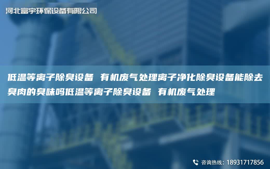 低溫等離子除臭設備 有機廢氣處理離子凈化除臭設備能除去臭肉的臭味嗎低溫等離子除臭設備 有機廢氣處理
