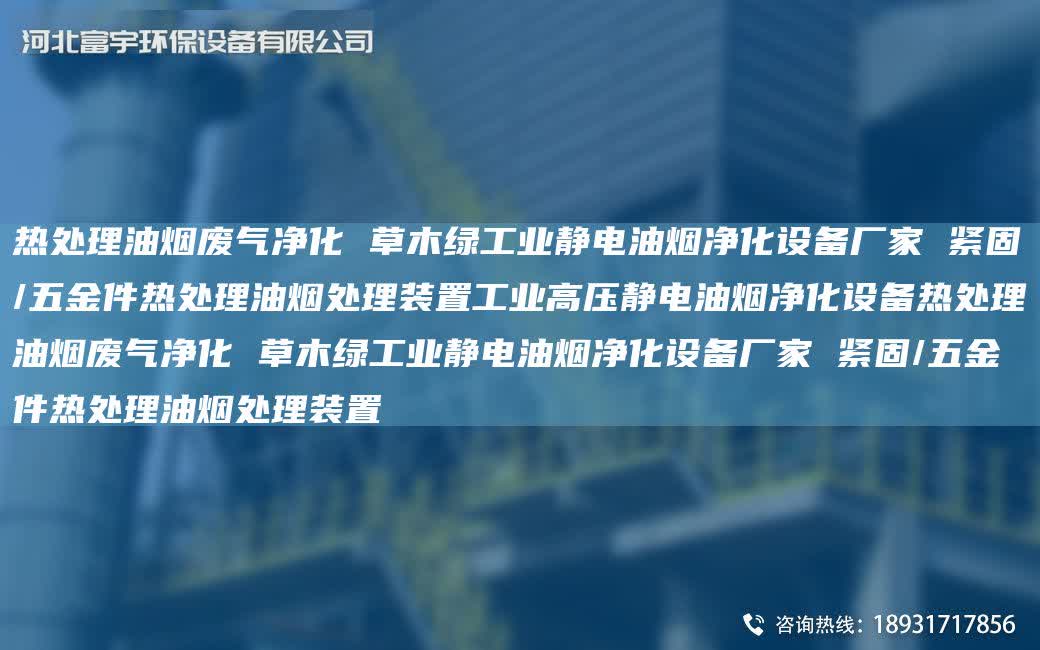 熱處理油煙廢氣凈化 草木綠工業靜電油煙凈化設備廠家 緊固/五金件熱處理油煙處理裝置工業高壓靜電油煙凈化設備熱處理油煙廢氣凈化 草木綠工業靜電油煙凈化設備廠家 緊固/五金件熱處理油煙處理裝置