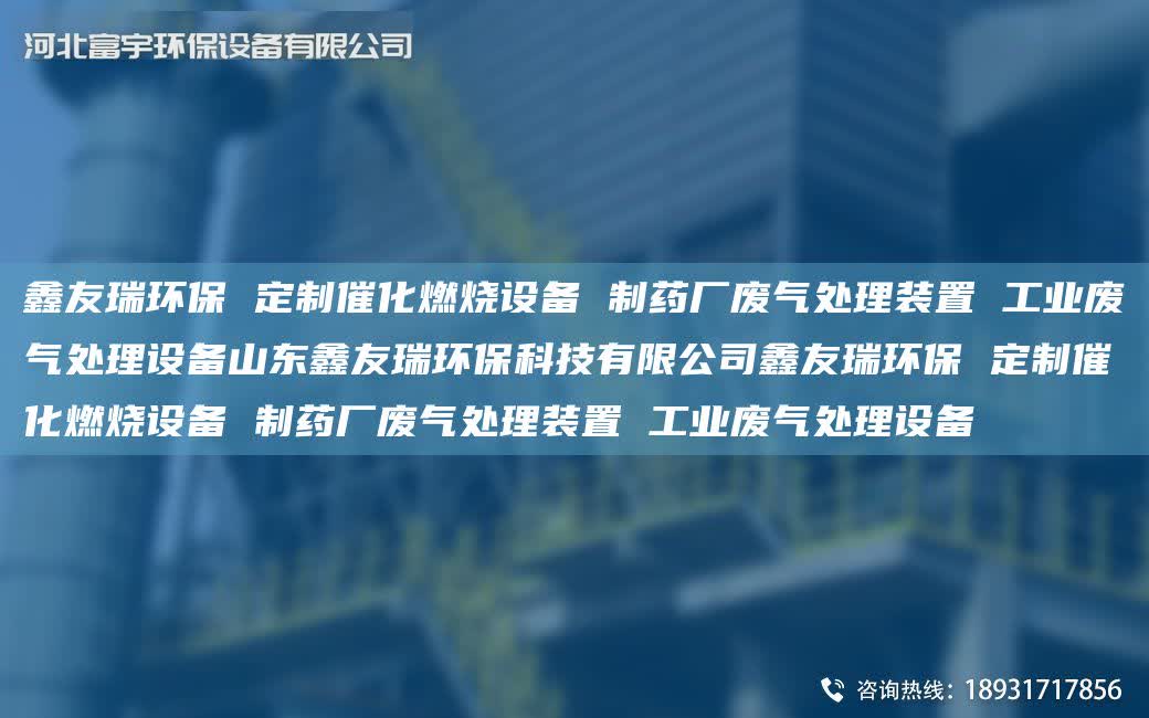 富宇環(huán)保 定制催化燃燒設(shè)備 制藥廠廢氣處理裝置 工業(yè)廢氣處理設(shè)備山東富宇環(huán)保科技有限公司富宇環(huán)保 定制催化燃燒設(shè)備 制藥廠廢氣處理裝置 工業(yè)廢氣處理設(shè)備