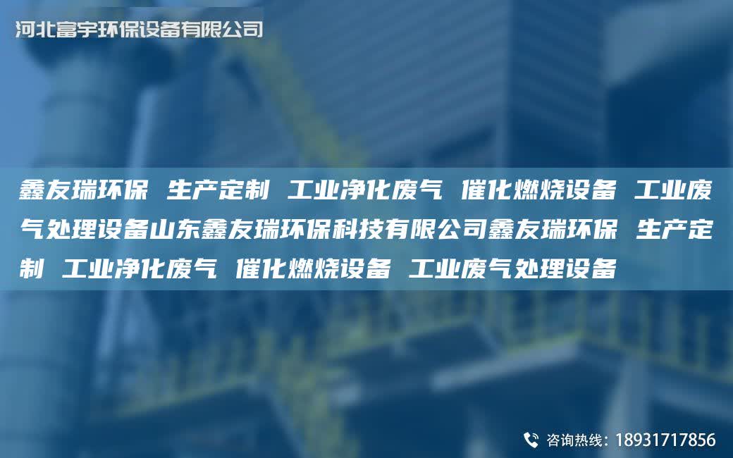 富宇環保 生產定制 工業凈化廢氣 催化燃燒設備 工業廢氣處理設備山東富宇環保科技有限公司富宇環保 生產定制 工業凈化廢氣 催化燃燒設備 工業廢氣處理設備