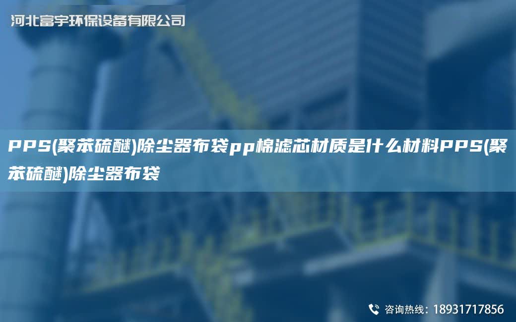 PPS(聚苯硫醚)除塵器布袋pp棉濾芯材質是什么材料PPS(聚苯硫醚)除塵器布袋