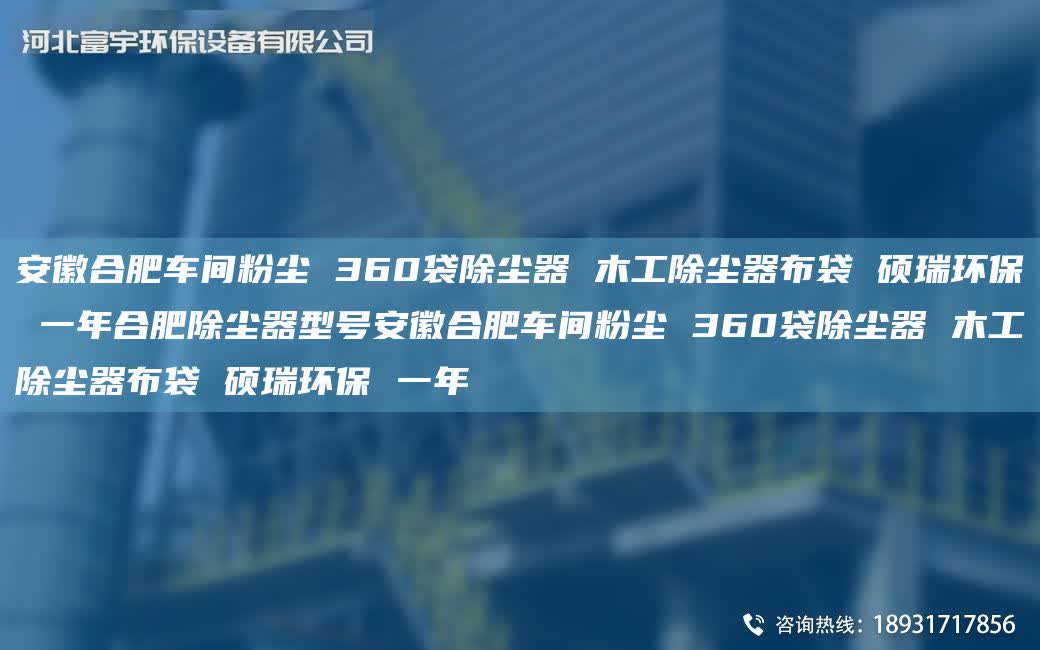安徽合肥車間粉塵 360袋除塵器 木工除塵器布袋 碩瑞環(huán)保 一NA合肥除塵器型號安徽合肥車間粉塵 360袋除塵器 木工除塵器布袋 碩瑞環(huán)保 一NA