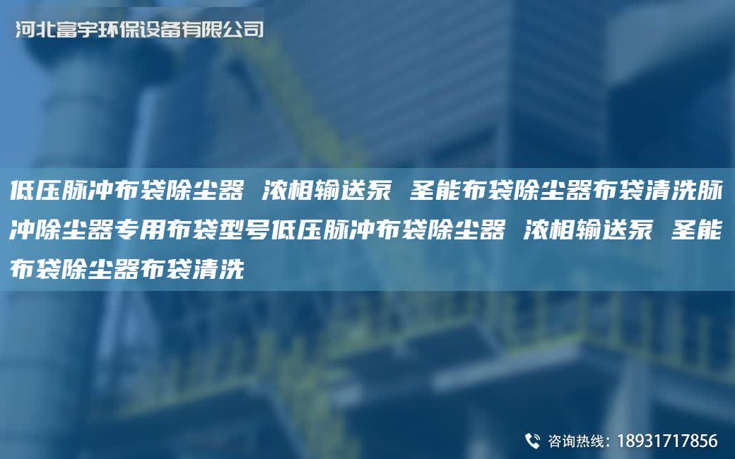 低壓脈沖布袋除塵器 濃相輸送泵 圣能布袋除塵器布袋清洗脈沖除塵器專用布袋型號低壓脈沖布袋除塵器 濃相輸送泵 圣能布袋除塵器布袋清洗